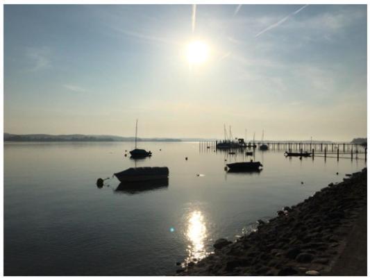 Ferienwohnung Bodensee Nenzingen Hegau Orsingen-Nenzingen Esterno foto